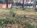 Parcela rústica en venta en Olivella