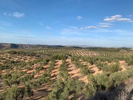 Cortijo en venta en Alameda