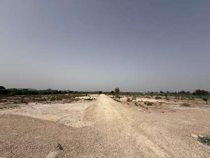 Parcela rústica en venta en Elche/Elx
