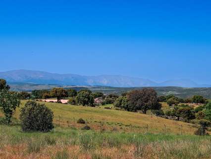 Parcela rústica en venta en Navalperal de Pinares rebajada