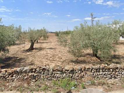 Parcela rústica en venta en Vinaròs