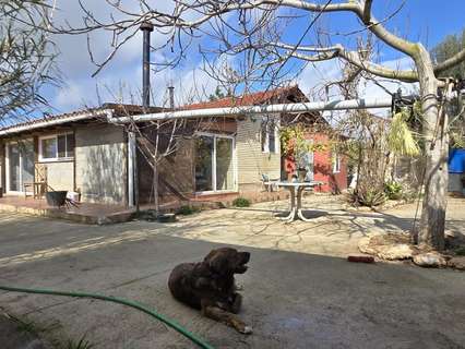 Parcela rústica en venta en Vinaròs rebajada