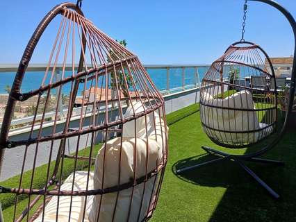 Ático en alquiler en Peníscola/Peñíscola