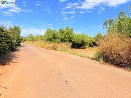 Parcela rústica en venta en Peníscola/Peñíscola