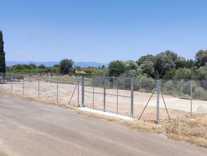 Parcela rústica en venta en Vinaròs