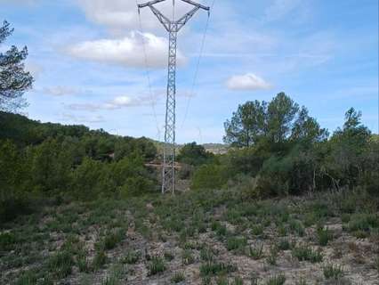 Parcela rústica en venta en Corbera d'Ebre