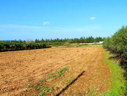 Parcela rústica en venta en Vilanova i La Geltrú