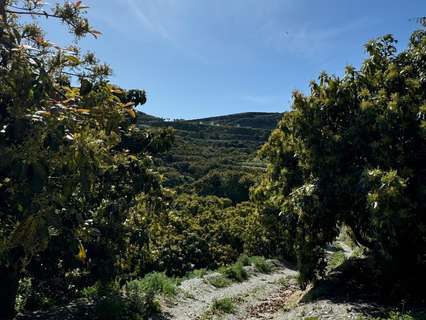 Casa rústica en venta en Motril rebajada