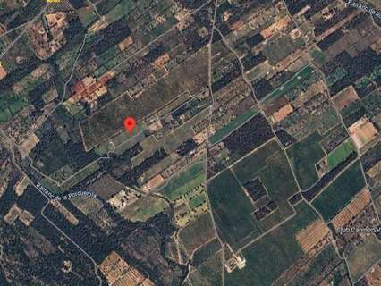 Parcela rústica en venta en Mont-Roig del Camp