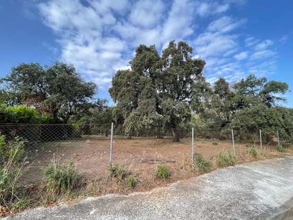 Parcela rústica en venta en Obejo