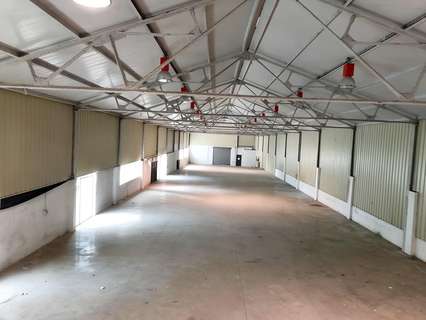 Nave industrial en venta en Sant Hilari Sacalm