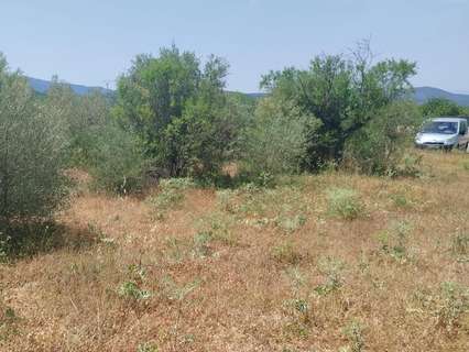 Parcela rústica en venta en Vall d'Alba