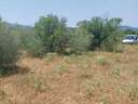 Parcela rústica en venta en Vall d'Alba