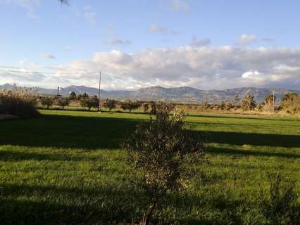 Parcela rústica en venta en Crevillent
