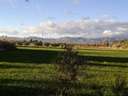 Parcela rústica en venta en Crevillent
