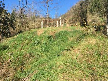 Parcela rústica en venta en Pineda de Mar