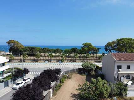 Parcela rústica en venta en Pineda de Mar