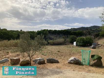 Parcela rústica en venta en Pineda de Mar