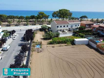 Parcela rústica en venta en Pineda de Mar
