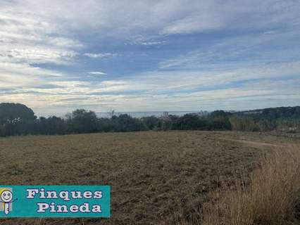 Parcela rústica en venta en Pineda de Mar