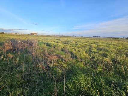 Parcela rústica en venta en Malgrat de Mar