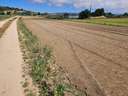 Parcela rústica en venta en Malgrat de Mar