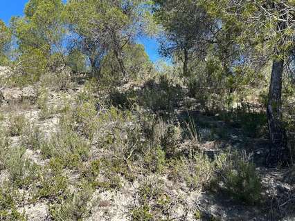 Parcela rústica en venta en María de Huerva