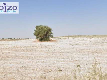 Parcela rústica en venta en Bargas
