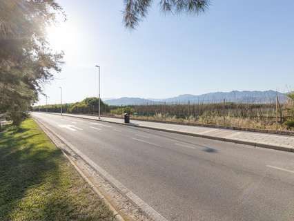 Parcela rústica en venta en Motril