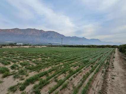 Parcela rústica en venta en Santomera