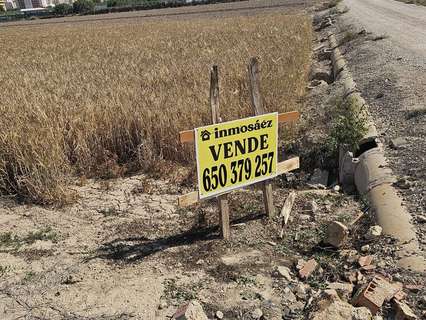 Parcela rústica en venta en Guardamar del Segura