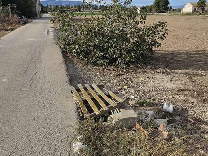 Parcela rústica en venta en Dolores