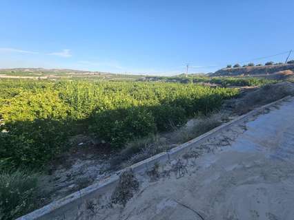 Parcela rústica en venta en Bigastro