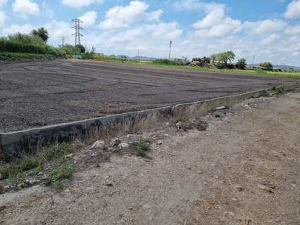 Casa rústica en venta en San Fulgencio