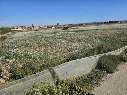 Parcela rústica en venta en Los Montesinos