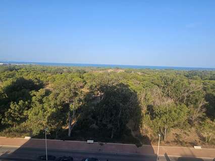 Apartamento en venta en Guardamar del Segura