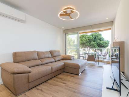 Piso en alquiler en Santa Pola