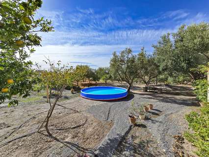 Cortijo en venta en Vélez de Benaudalla