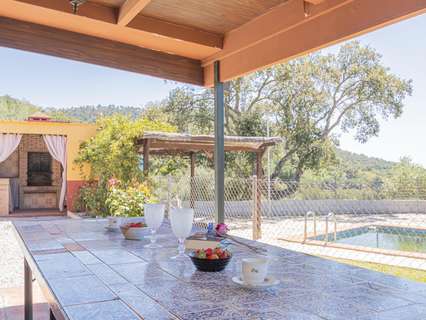 Parcela rústica en venta en El Pedroso rebajada