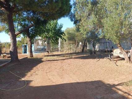 Parcela rústica en venta en Dos Hermanas