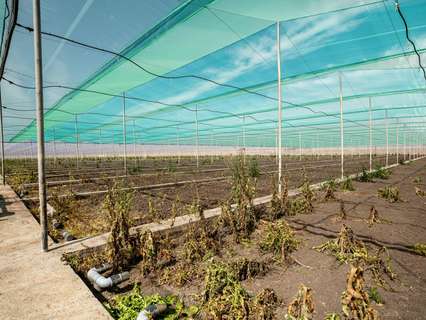 Parcela rústica en venta en Utrera