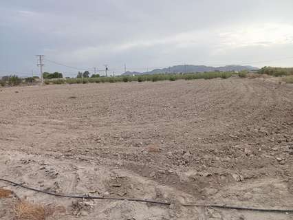 Parcela rústica en venta en Puerto Lumbreras rebajada