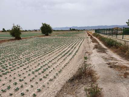 Parcela rústica en venta en Lorca