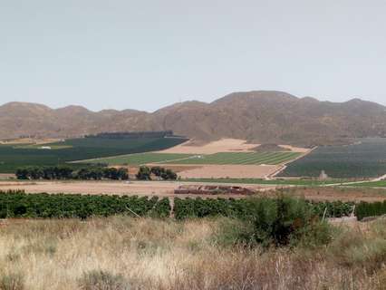 Parcela rústica en venta en Lorca