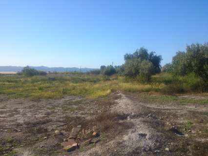 Parcela rústica en venta en Lorca