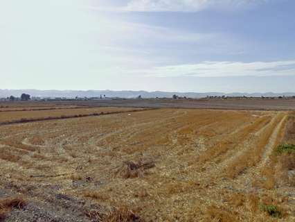 Parcela rústica en venta en Puerto Lumbreras