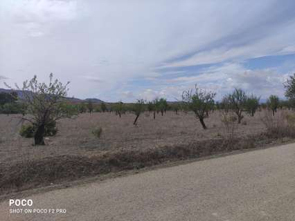 Parcela rústica en venta en Lorca