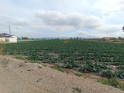 Parcela rústica en venta en Puerto Lumbreras