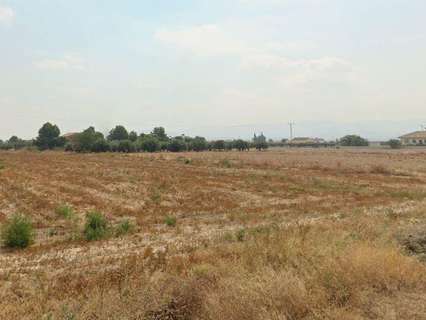 Parcela rústica en venta en Lorca