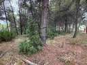 Parcela rústica en venta en Torrelles de Foix